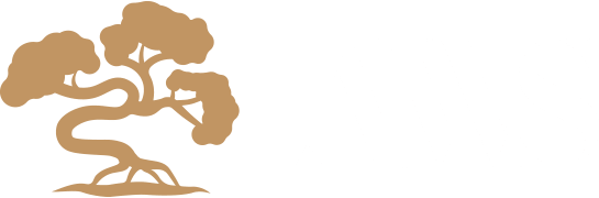 AWS Executive