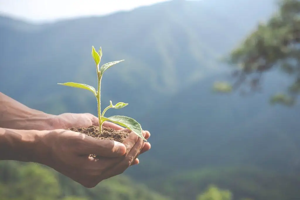 Income generation and growth