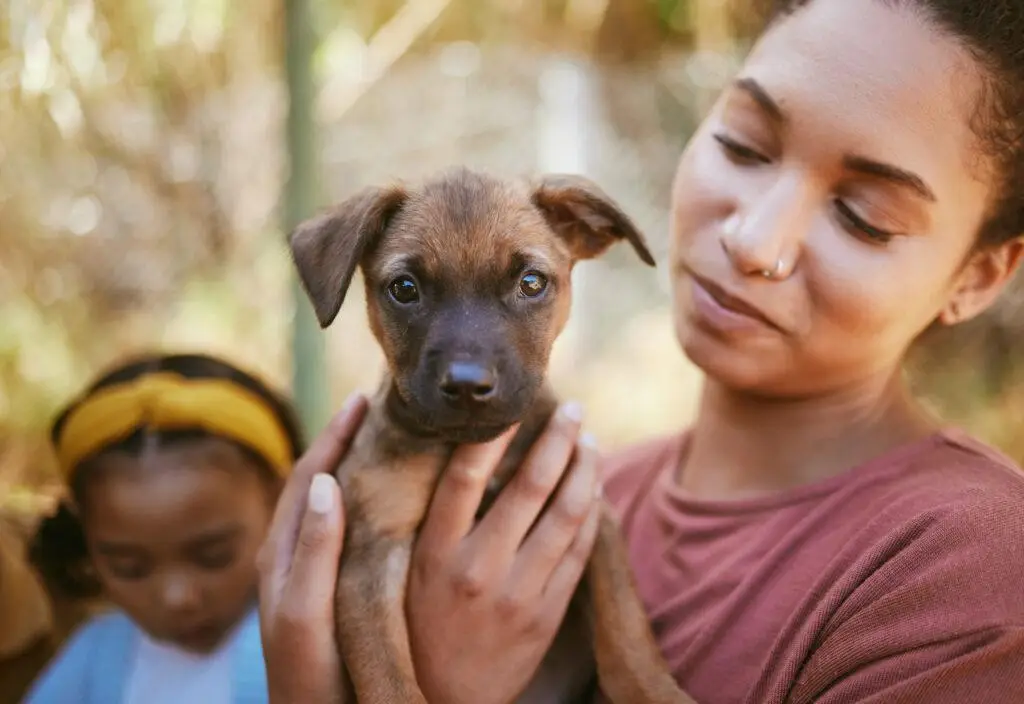Recruitment of leaders in Animal Welfare & Conservation