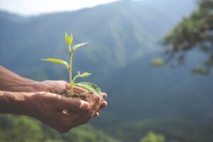 Income generation and growth